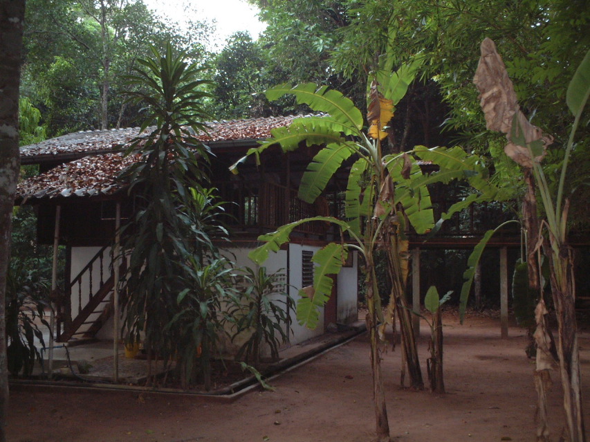 DSCF0923