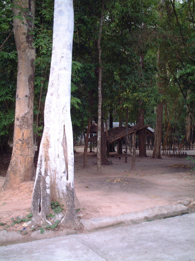 DSCF0803